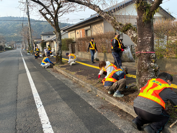 20260329-桜並木_作業2